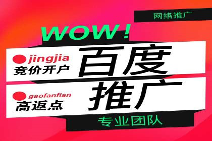 实战经验分享：百度竞价代运营公司案例剖析